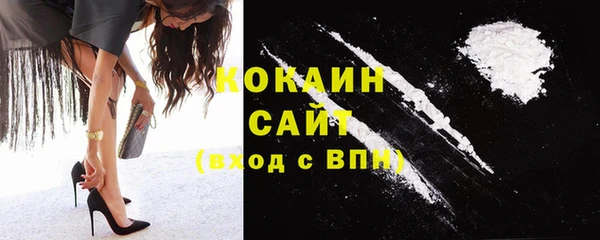 кокс Алексин