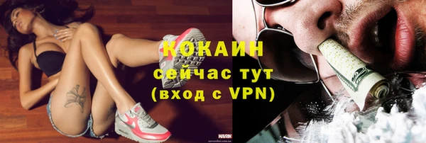 кокс Алексин
