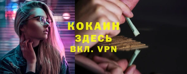 кокс Алексин