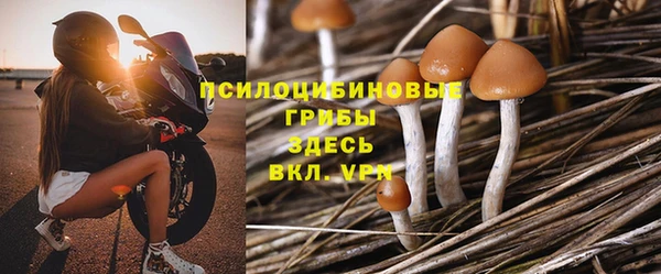 кокс Алексин