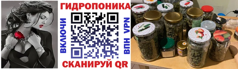 Канабис конопля магазин наркотиков Дегтярск